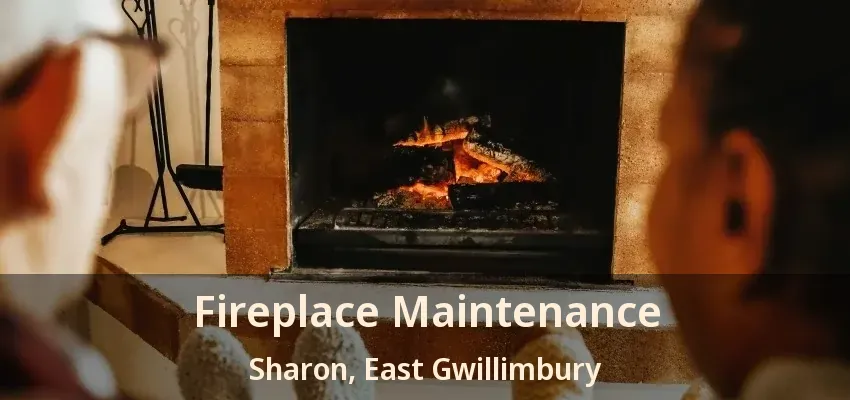 Fireplace Maintenance Sharon, East Gwillimbury - ON Fireplace Maintenance Sharon, East Gwillimbury - ON