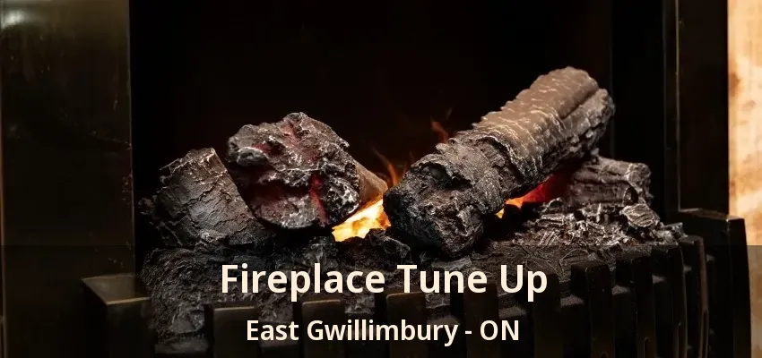 Fireplace Tune Up East Gwillimbury - ON Fireplace Tune Up East Gwillimbury - ON