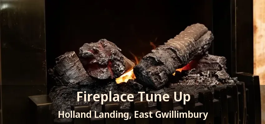 Fireplace Tune Up Holland Landing, East Gwillimbury - ON Fireplace Tune Up Holland Landing, East Gwillimbury - ON