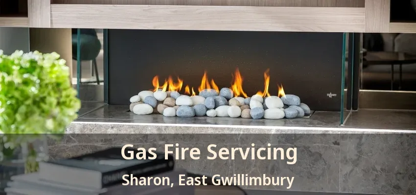 Gas Fire Servicing Sharon, East Gwillimbury - ON Gas Fire Servicing Sharon, East Gwillimbury - ON