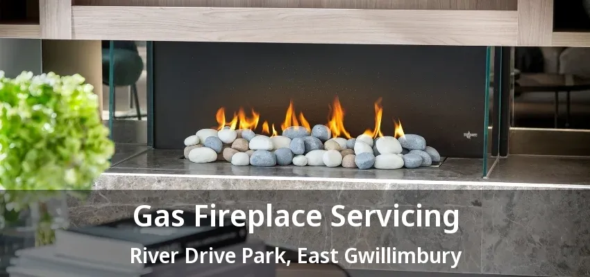 Gas Fireplace Servicing River Drive Park, East Gwillimbury - ON
