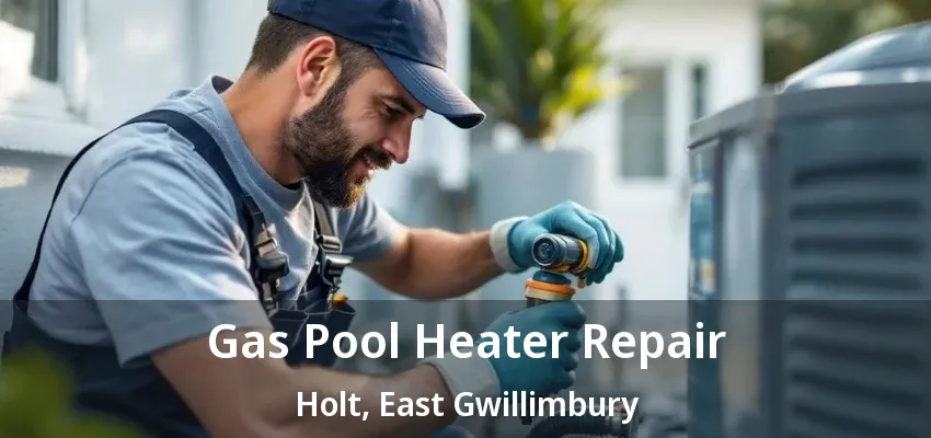 Gas Pool Heater Repair Holt, East Gwillimbury - ON