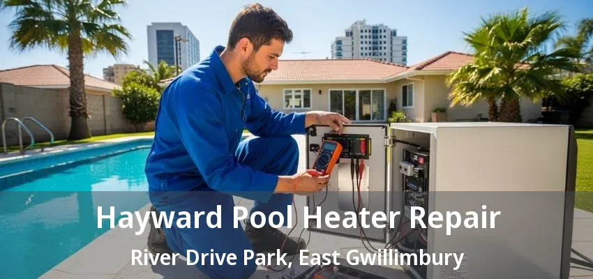 Hayward Pool Heater Repair River Drive Park, East Gwillimbury - ON Hayward Pool Heater Repair River Drive Park, East Gwillimbury - ON