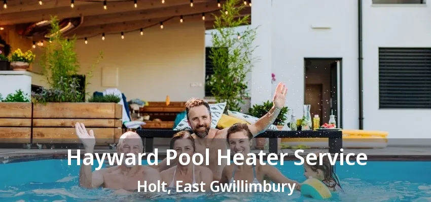Hayward Pool Heater Service Holt, East Gwillimbury - ON Hayward Pool Heater Service Holt, East Gwillimbury - ON