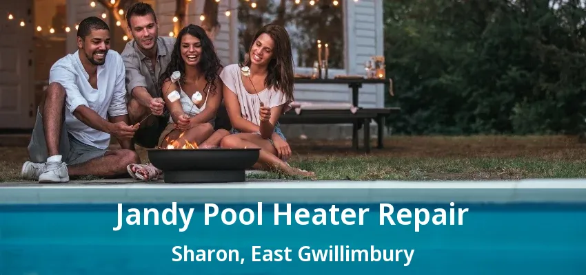 Jandy Pool Heater Repair Sharon, East Gwillimbury - ON
