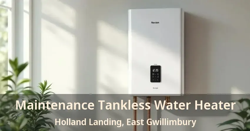 Maintenance Tankless Water Heater Holland Landing, East Gwillimbury - ON Maintenance Tankless Water Heater Holland Landing, East Gwillimbury - ON