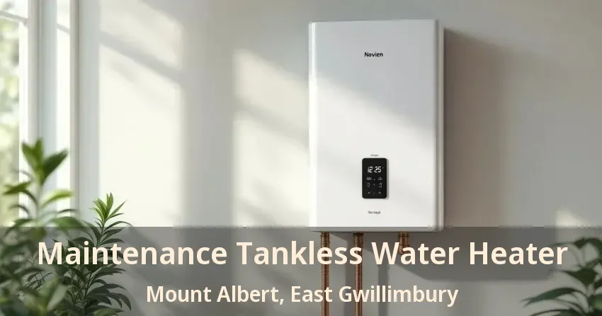 Maintenance Tankless Water Heater Mount Albert, East Gwillimbury - ON Maintenance Tankless Water Heater Mount Albert, East Gwillimbury - ON
