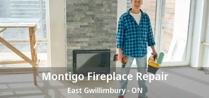Montigo Fireplace Repair East Gwillimbury - ON