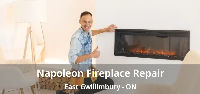 Napoleon Fireplace Repair East Gwillimbury - ON