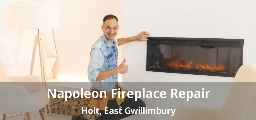 Napoleon Fireplace Repair Holt, East Gwillimbury - ON Napoleon Fireplace Repair Holt, East Gwillimbury - ON