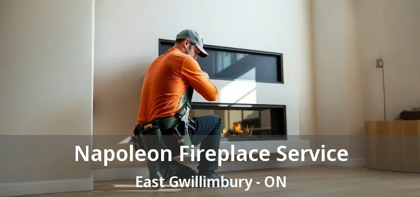 Napoleon Fireplace Service East Gwillimbury - ON Napoleon Fireplace Service East Gwillimbury - ON