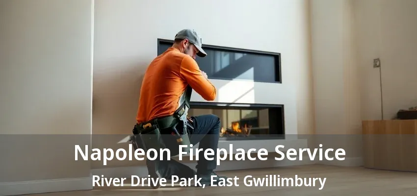 Napoleon Fireplace Service River Drive Park, East Gwillimbury - ON Napoleon Fireplace Service River Drive Park, East Gwillimbury - ON