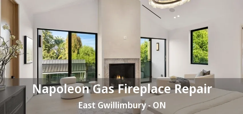 Napoleon Gas Fireplace Repair East Gwillimbury - ON