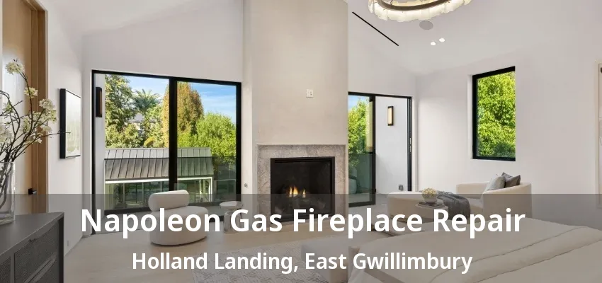 Napoleon Gas Fireplace Repair Holland Landing, East Gwillimbury - ON