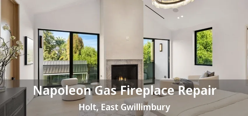 Napoleon Gas Fireplace Repair Holt, East Gwillimbury - ON