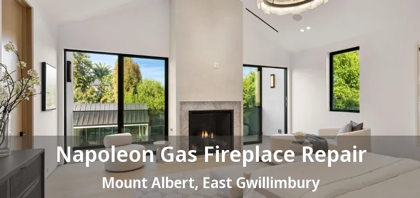 Napoleon Gas Fireplace Repair Mount Albert, East Gwillimbury - ON