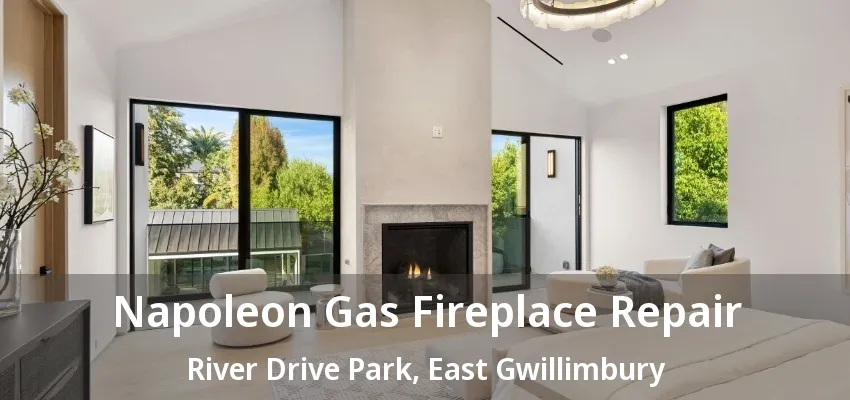 Napoleon Gas Fireplace Repair River Drive Park, East Gwillimbury - ON