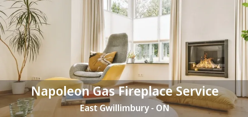 Napoleon Gas Fireplace Service East Gwillimbury - ON