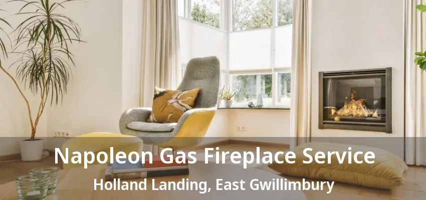 Napoleon Gas Fireplace Service Holland Landing, East Gwillimbury - ON