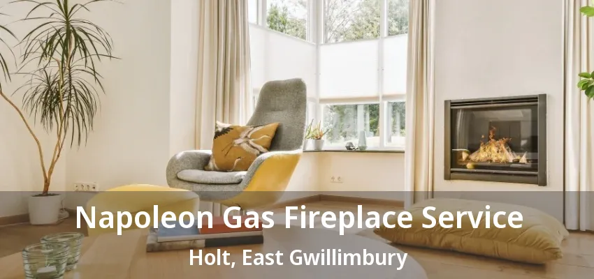 Napoleon Gas Fireplace Service Holt, East Gwillimbury - ON