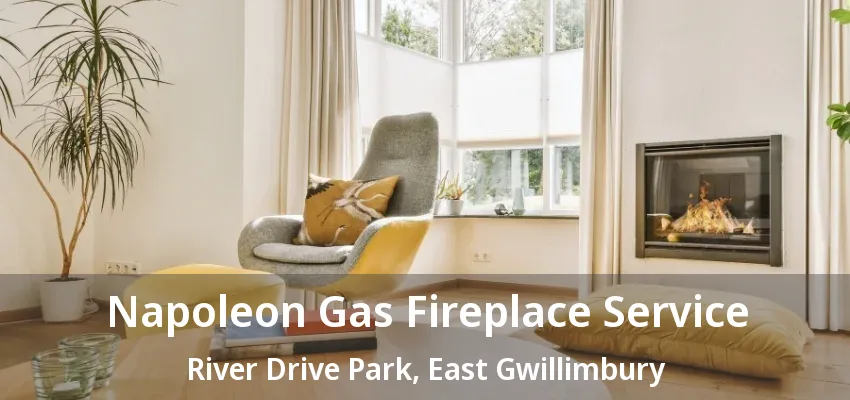 Napoleon Gas Fireplace Service River Drive Park, East Gwillimbury - ON