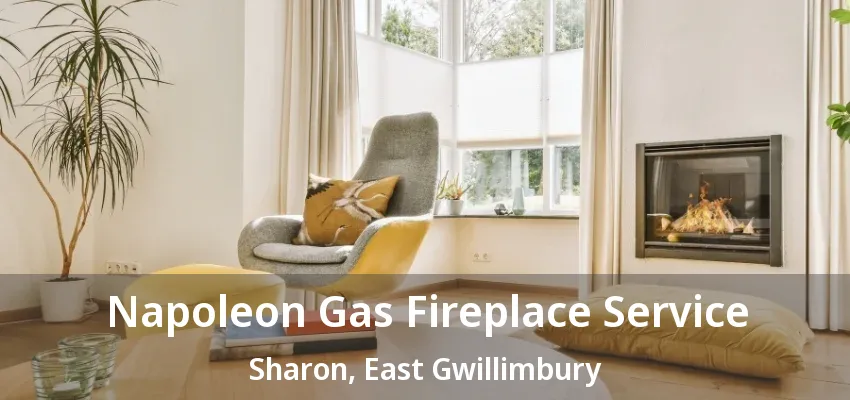 Napoleon Gas Fireplace Service Sharon, East Gwillimbury - ON