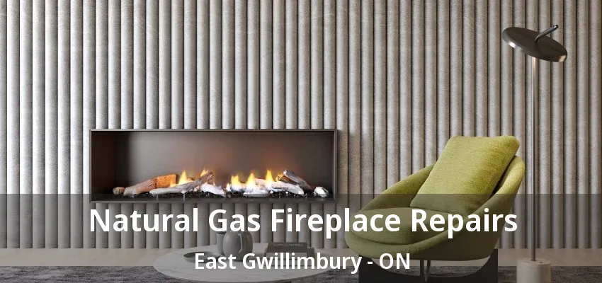 Natural Gas Fireplace Repairs East Gwillimbury - ON
