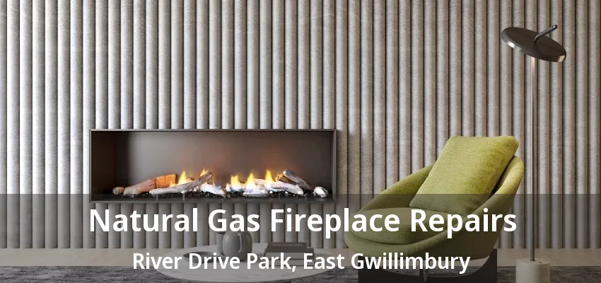 Natural Gas Fireplace Repairs River Drive Park, East Gwillimbury - ON