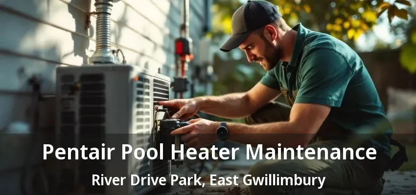 Pentair Pool Heater Maintenance River Drive Park, East Gwillimbury - ON