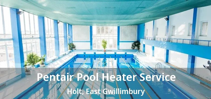 Pentair Pool Heater Service Holt, East Gwillimbury - ON
