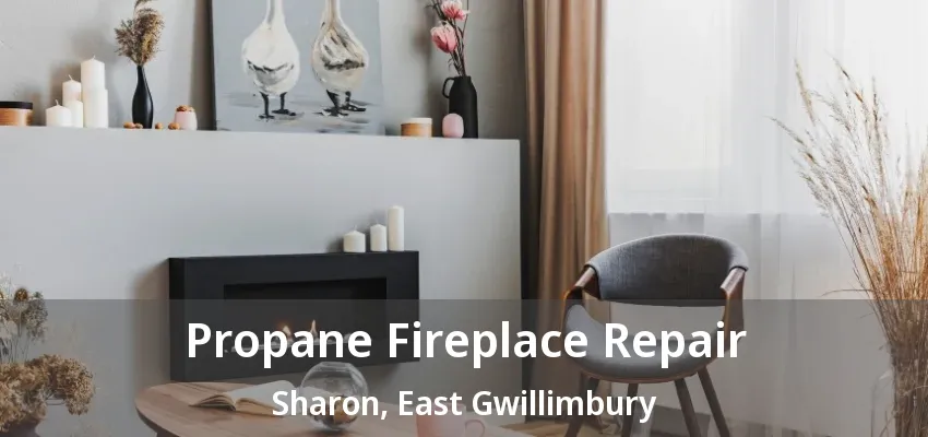 Propane Fireplace Repair Sharon, East Gwillimbury - ON