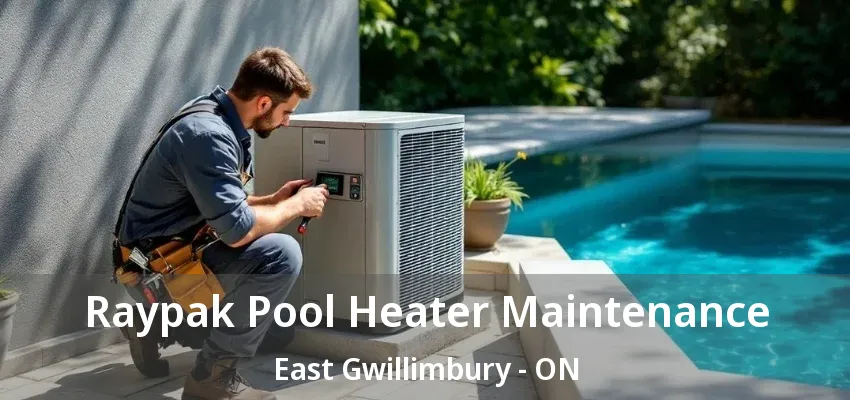 Raypak Pool Heater Maintenance East Gwillimbury - ON