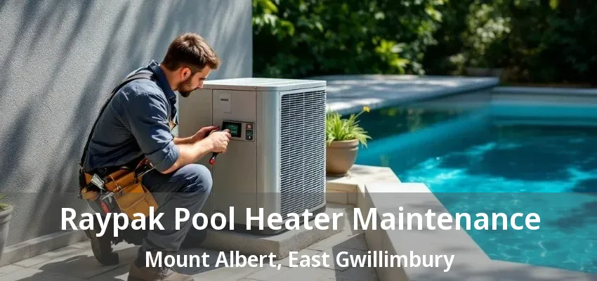 Raypak Pool Heater Maintenance Mount Albert, East Gwillimbury - ON Raypak Pool Heater Maintenance Mount Albert, East Gwillimbury - ON