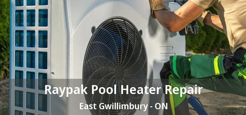 Raypak Pool Heater Repair East Gwillimbury - ON
