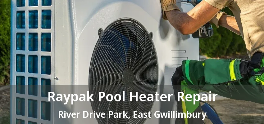 Raypak Pool Heater Repair River Drive Park, East Gwillimbury - ON