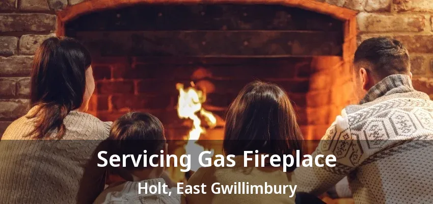 Servicing Gas Fireplace Holt, East Gwillimbury - ON