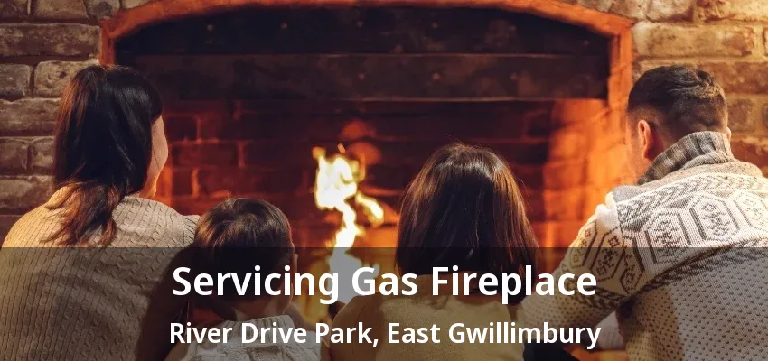 Servicing Gas Fireplace River Drive Park, East Gwillimbury - ON