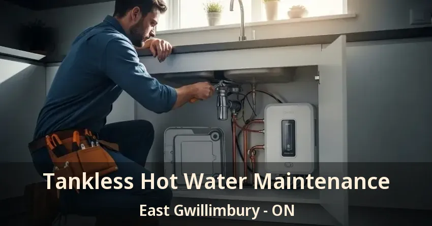 Tankless Hot Water Maintenance East Gwillimbury - ON Tankless Hot Water Maintenance East Gwillimbury - ON