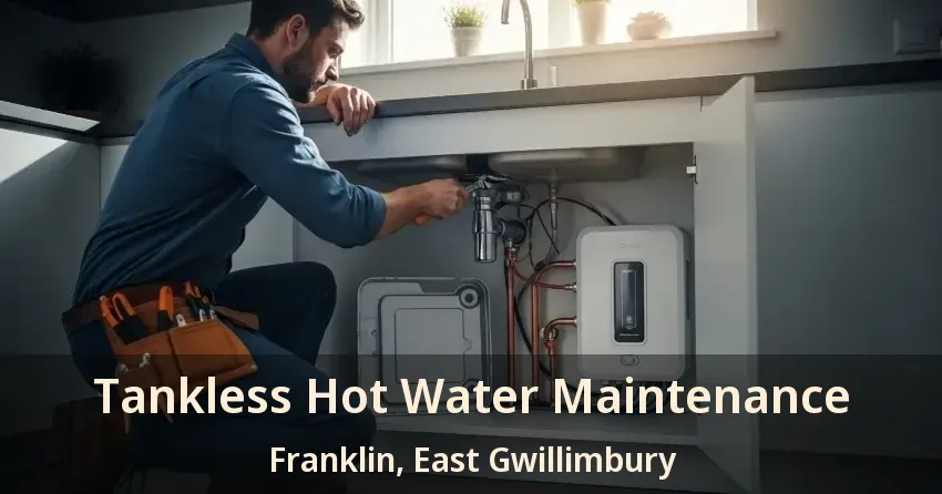 Tankless Hot Water Maintenance Franklin, East Gwillimbury - ON Tankless Hot Water Maintenance Franklin, East Gwillimbury - ON