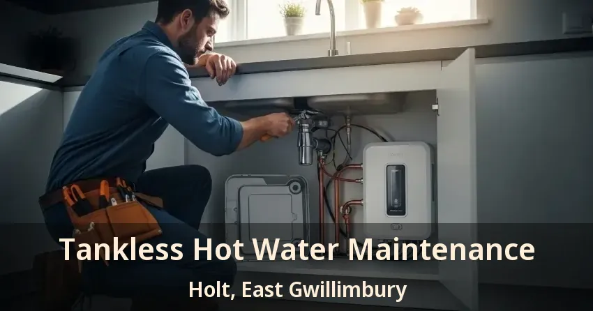 Tankless Hot Water Maintenance Holt, East Gwillimbury - ON Tankless Hot Water Maintenance Holt, East Gwillimbury - ON