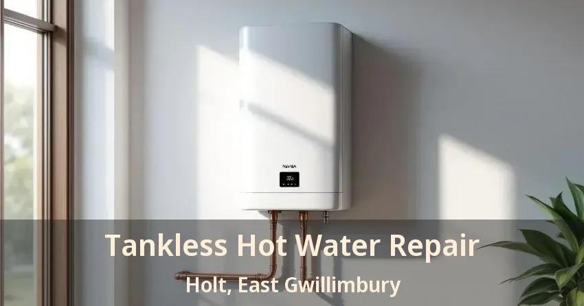 Tankless Hot Water Repair Holt, East Gwillimbury - ON