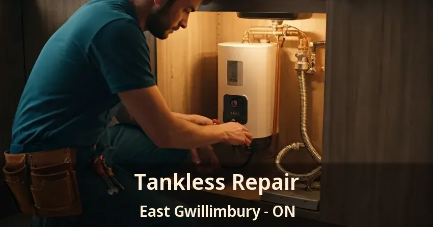 Tankless Repair East Gwillimbury - ON Tankless Repair East Gwillimbury - ON