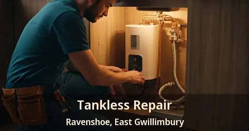 Tankless Repair Ravenshoe, East Gwillimbury - ON Tankless Repair Ravenshoe, East Gwillimbury - ON