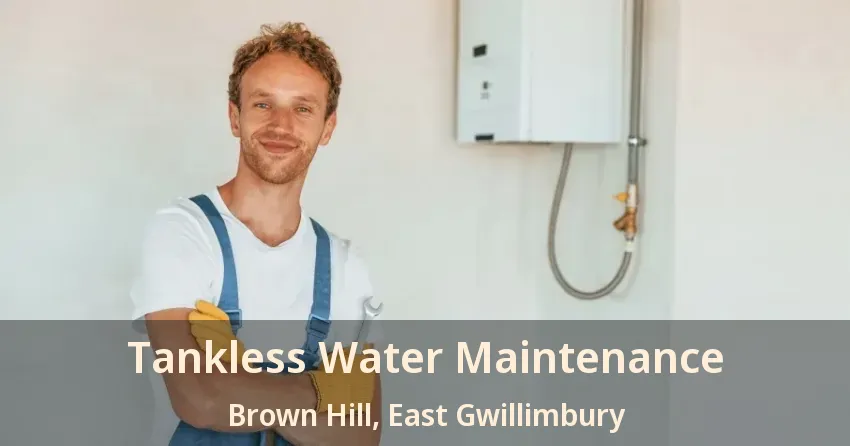 Tankless Water Maintenance Brown Hill, East Gwillimbury - ON Tankless Water Maintenance Brown Hill, East Gwillimbury - ON