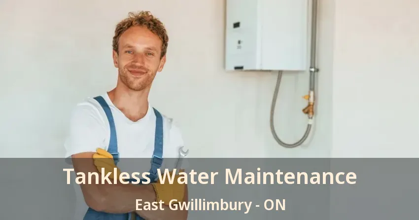 Tankless Water Maintenance East Gwillimbury - ON Tankless Water Maintenance East Gwillimbury - ON