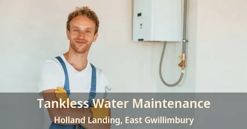 Tankless Water Maintenance Holland Landing, East Gwillimbury - ON Tankless Water Maintenance Holland Landing, East Gwillimbury - ON