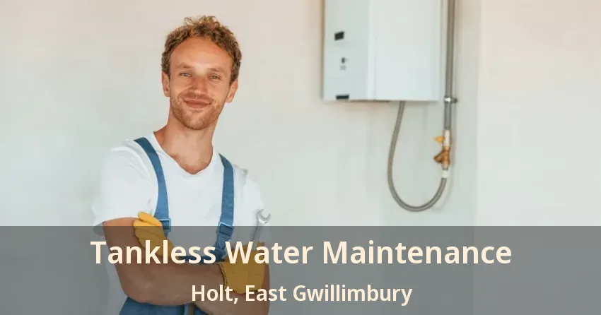 Tankless Water Maintenance Holt, East Gwillimbury - ON Tankless Water Maintenance Holt, East Gwillimbury - ON