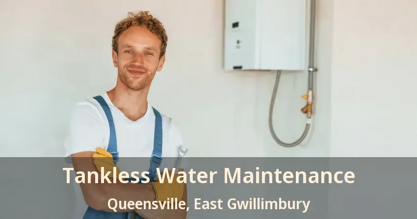 Tankless Water Maintenance Queensville, East Gwillimbury - ON Tankless Water Maintenance Queensville, East Gwillimbury - ON