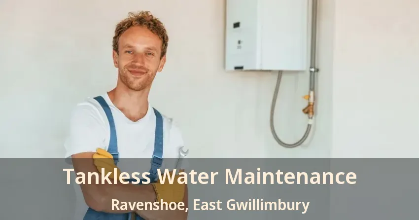 Tankless Water Maintenance Ravenshoe, East Gwillimbury - ON