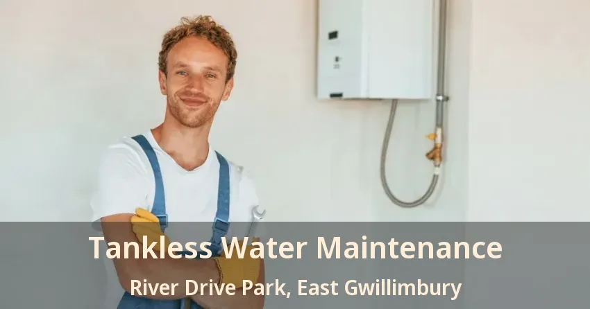 Tankless Water Maintenance River Drive Park, East Gwillimbury - ON Tankless Water Maintenance River Drive Park, East Gwillimbury - ON